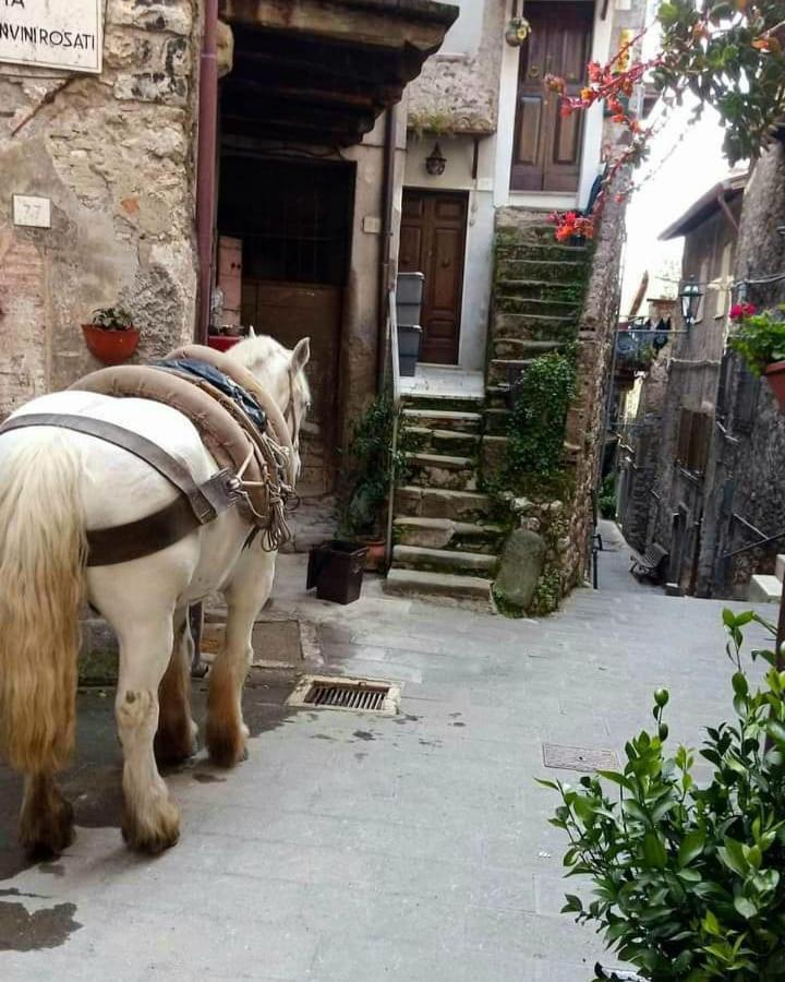 Casetta Nel Borgo Olevano Romano Exterior foto