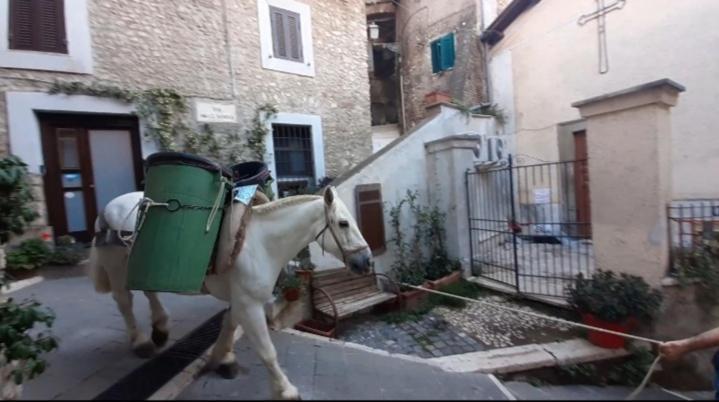Casetta Nel Borgo Olevano Romano Exterior foto